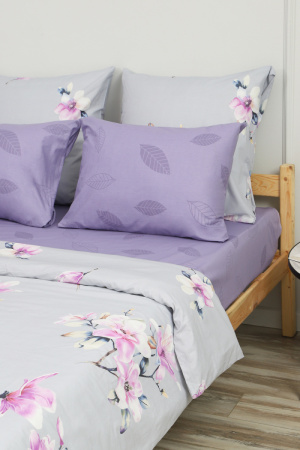 14cc928a-40da-4207-9651-ca4343de5ce7